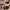 VANS SK8LOW REISSUE UTILITY PEWTER photo 6