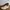 VANS SK8LOW REISSUE UTILITY PEWTER photo 5