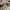 VANS SK8LOW REISSUE UTILITY PEWTER photo 3