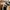 VANS SK8MID BEECH ULTRAMARINE photo 7