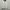 Nautica Vintage Windbreaker Pria White