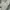 Nike Streetwear Hoody Pria gray photo 7