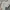 Nike Streetwear Hoody Pria gray photo 6