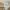Dean pants brand korea celana kulot loose wanita krem cream  photo 6