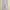 Dean pants brand korea celana kulot loose wanita krem cream  photo 1