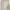 Dean pants brand korea celana kulot loose wanita krem cream  photo 5