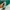 Zara Emerald Croptop photo 4
