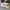 Converse Star Player Light Yellow photo 3