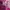 colorbox magenta skirt  photo 3