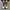 Converse 70s Trek Tech photo 4