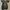 Converse 70s Trek Tech photo 6