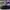 SB DUNK LOW BLACK GUM , SB DUNK BLACK GUM , SB DUNK LOW , SB