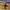 SB DUNK LOW BLACK GUM , SB DUNK BLACK GUM , SB DUNK LOW , SB photo 5