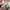 Pull and Bear Striped Pattern Outer photo 4