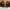 POLO BPHC Leather Suede B2 Harington Jacket photo 8