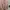 Crewneck Sweater FRJ Jeans Baby Pink photo 1
