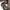 Semantic Design - Double Knee Flare Cargo Pants photo 9