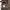 Semantic Design - Double Knee Flare Cargo Pants photo 8