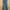 U2 Army Green Lowrise Cargo Pants