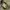 Tete Homme Y2K Casual Casual shirt Pria yellow photo 4