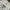 Mmlg 1987 T-Shirt Every White Center Logo photo 3