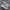 Hoka one one photo 1