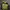 Tracktop Adidas Revesible