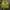 Tracktop Adidas revesible photo 4