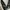 Charles & Keith Sepatu Ballerinas Margot Crossover Strap - C photo 2