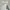 Top couquette lace white photo 1