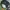 MLB Streetwear Sportswear Hat Pria green photo 4