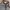Y2K POEM BROOKLYN INDUSTRIES DOUBLE LAYER SLEEVELESS GRUNGE photo 3