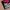 Y2K VERTEX HIP HOP DOUBLE LAYER SLEEVELESS HOODIE GRUNGE photo 6