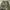 y2k pants baggy skull mtf photo 7