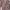 cardigan jaring longg-Cardigan long adem photo 1