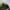 Snapback pirates big script photo 6