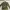 Army Jacket  photo 2