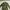 Army Jacket 