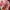 H&M Casual Casual shirt Pria pink photo 3