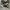 Converse Allstar Hi Black White photo 1