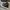 Converse Allstar Hi Black White photo 2