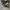 Converse Allstar Hi Black White photo 1