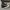 Converse Allstar Hi Black White photo 3