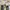 Converse 70s Hi Final Club Optical White photo 7
