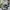CONVERSE BASSIC LOW BLACK WHITE  photo 1