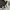 Nike air jordan 1 retro High OG GS washed black smoke grey photo 9