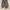 Sepatu skechers photo 1