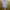 Rok kivee high waist photo 1