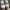 Nike air jordan 4 kids oxidized green photo 3