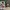Figure Luffy Gear 4 Snakeman or Bandai photo 1